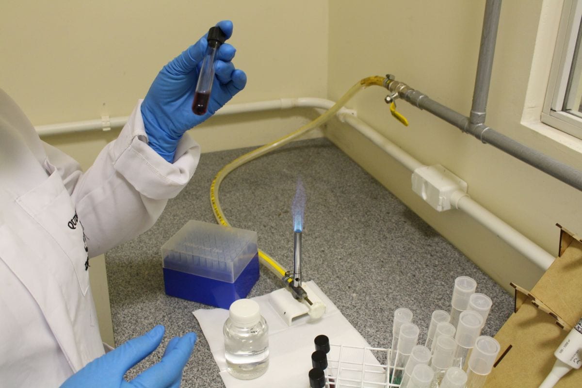Novo laboratório de Microbiologia oferece serviços no CTSatc
