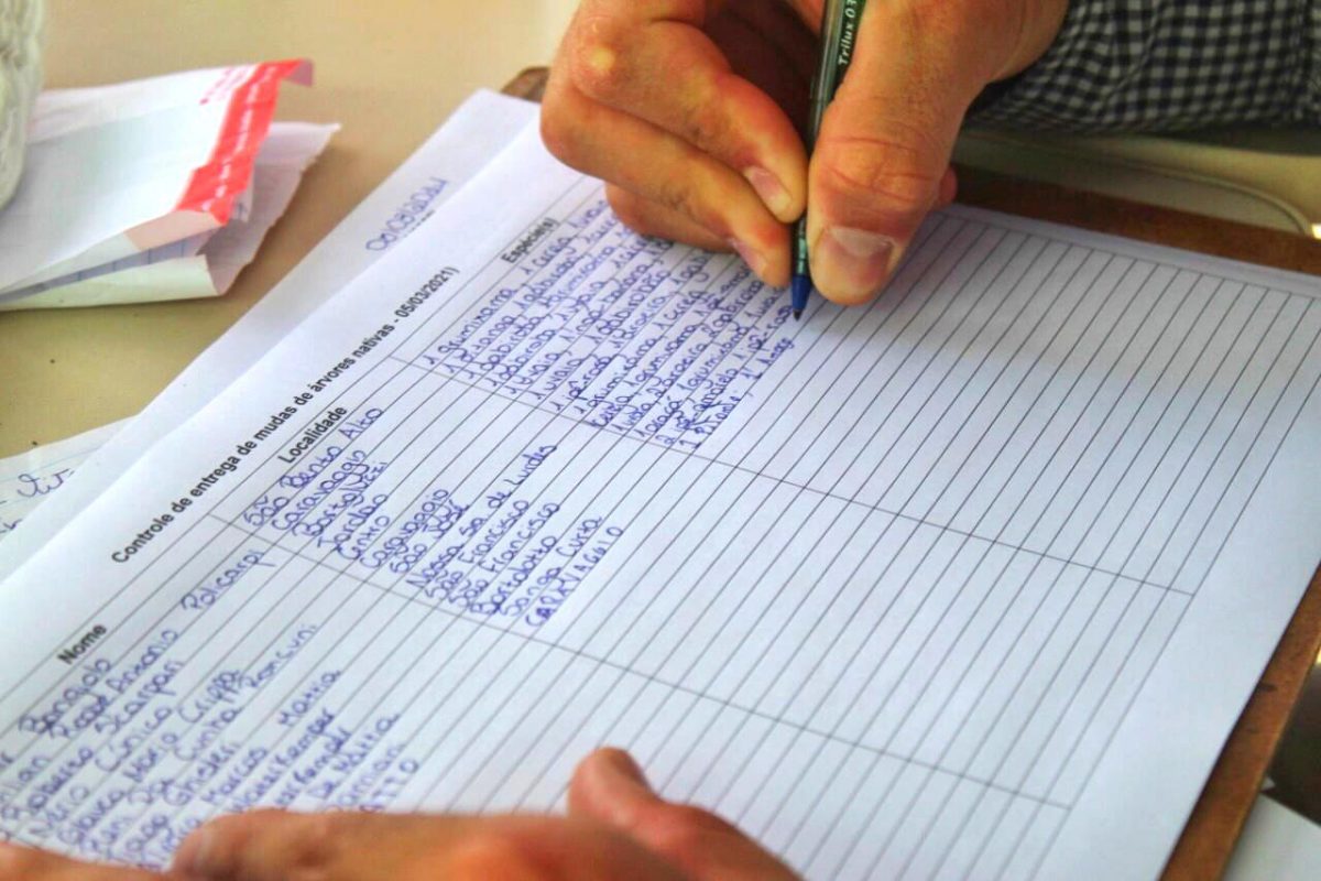 Fundave distribui 375 mudas de árvores nativas