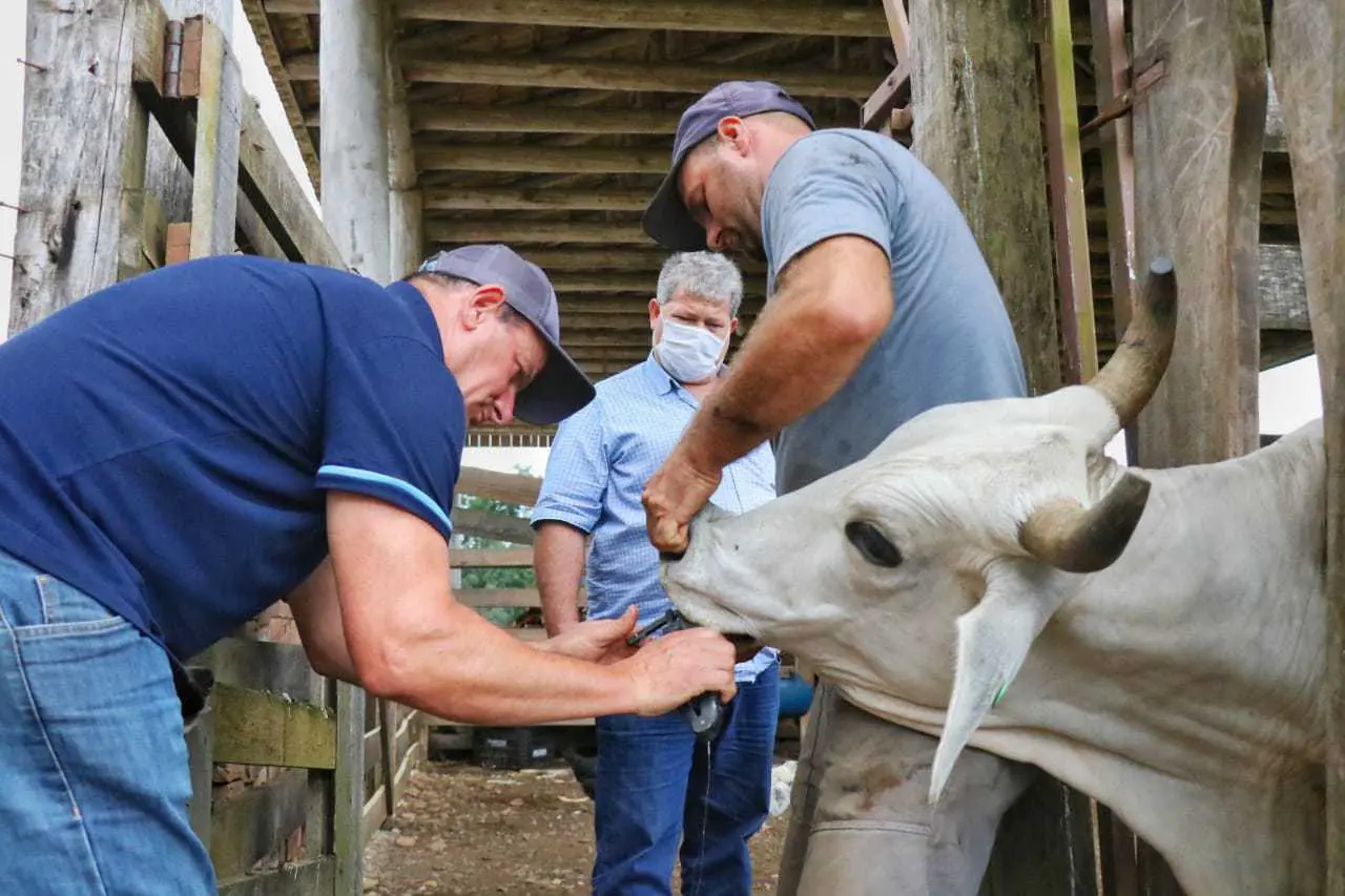 Secretaria de Agricultura conta com novo técnico veterinário