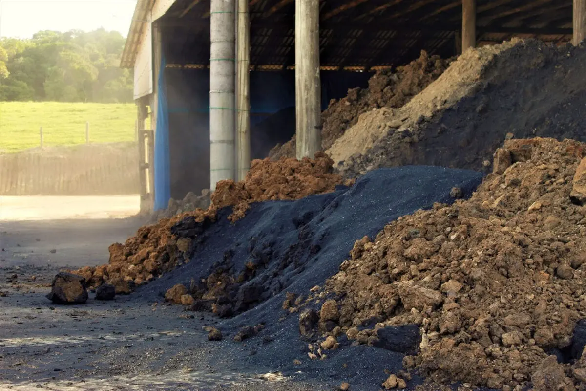 Da casca do arroz, a matéria-prima para tijolos mais sustentáveis