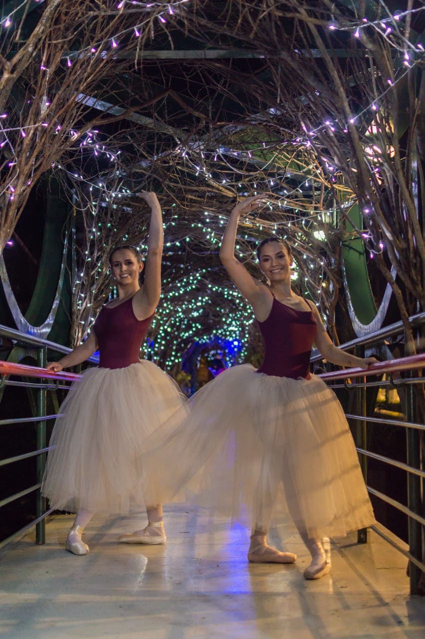 A vida tem a cor que você pinta: Nova Veneza comemora o dia da dança 2 A vida tem a cor que você pinta: Nova Veneza comemora o dia da dança