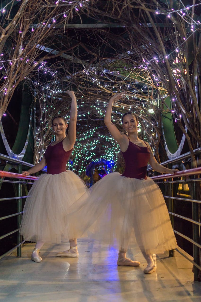 A vida tem a cor que você pinta: Nova Veneza comemora o dia da dança