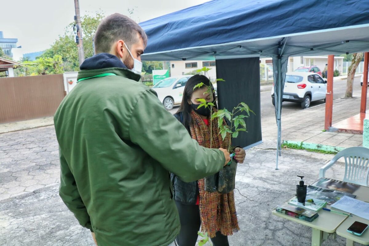 Fundação de Meio Ambiente distribui mudas nativas