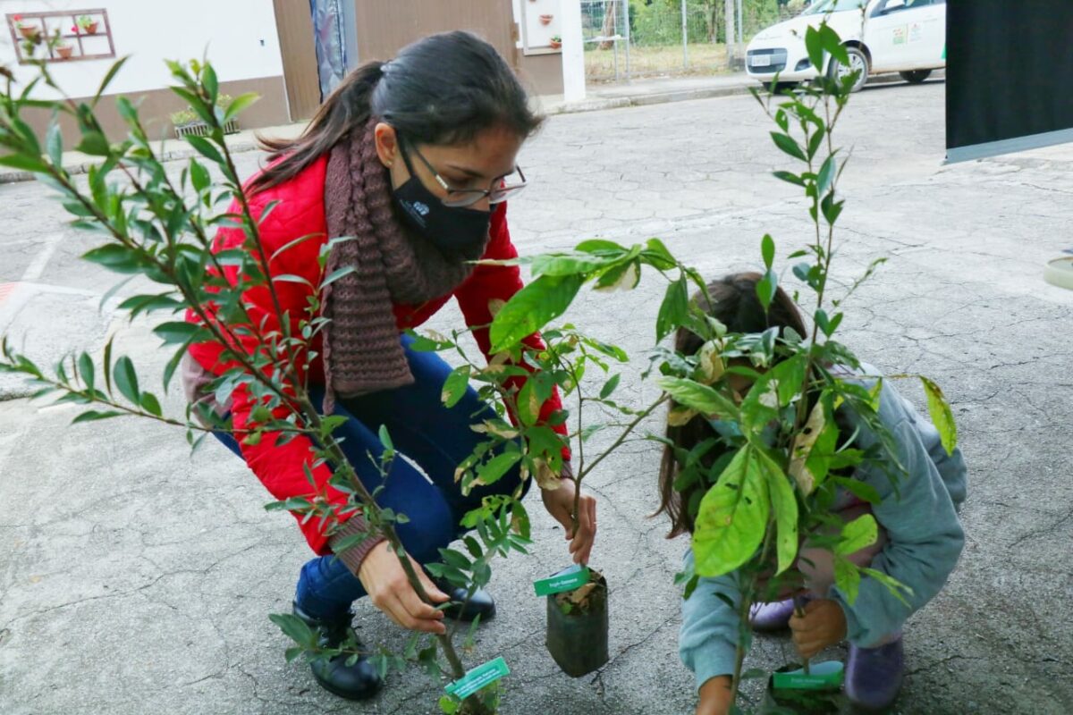 Fundação de Meio Ambiente distribui mudas nativas