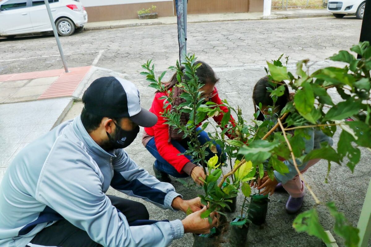 Fundação de Meio Ambiente distribui mudas nativas