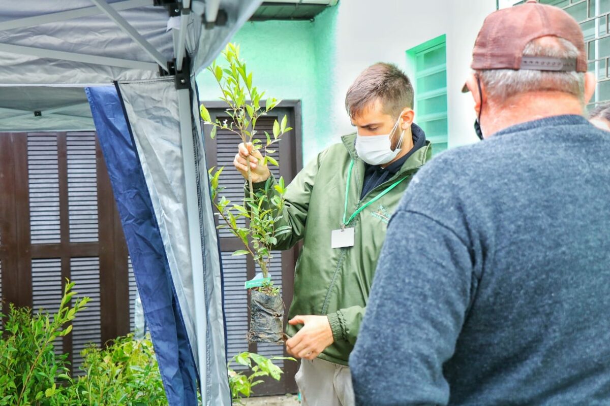 Fundação de Meio Ambiente distribui mudas nativas