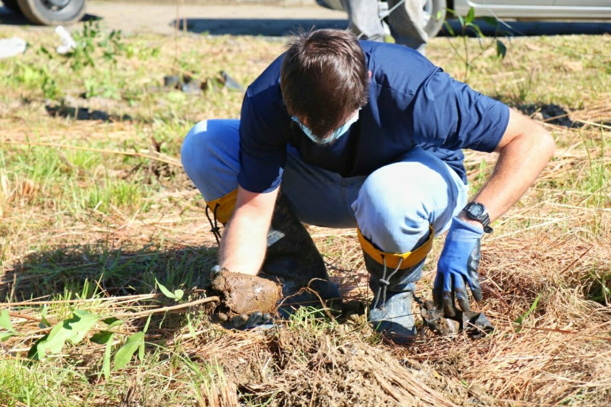 Fundave realiza plantio de mudas no Parque Natural Municipal Xokleng