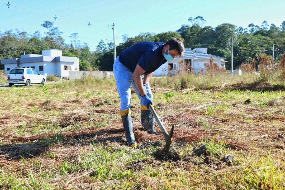 Fundave realiza plantio de mudas no Parque Natural Municipal Xokleng