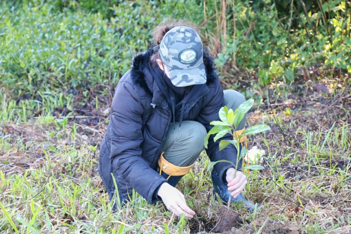 Fundave realiza plantio de mudas no Parque Natural Municipal Xokleng