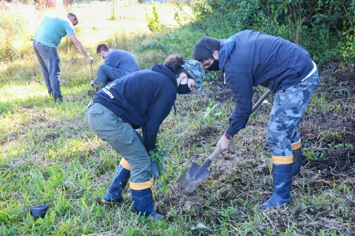 Fundave realiza plantio de mudas no Parque Natural Municipal Xokleng