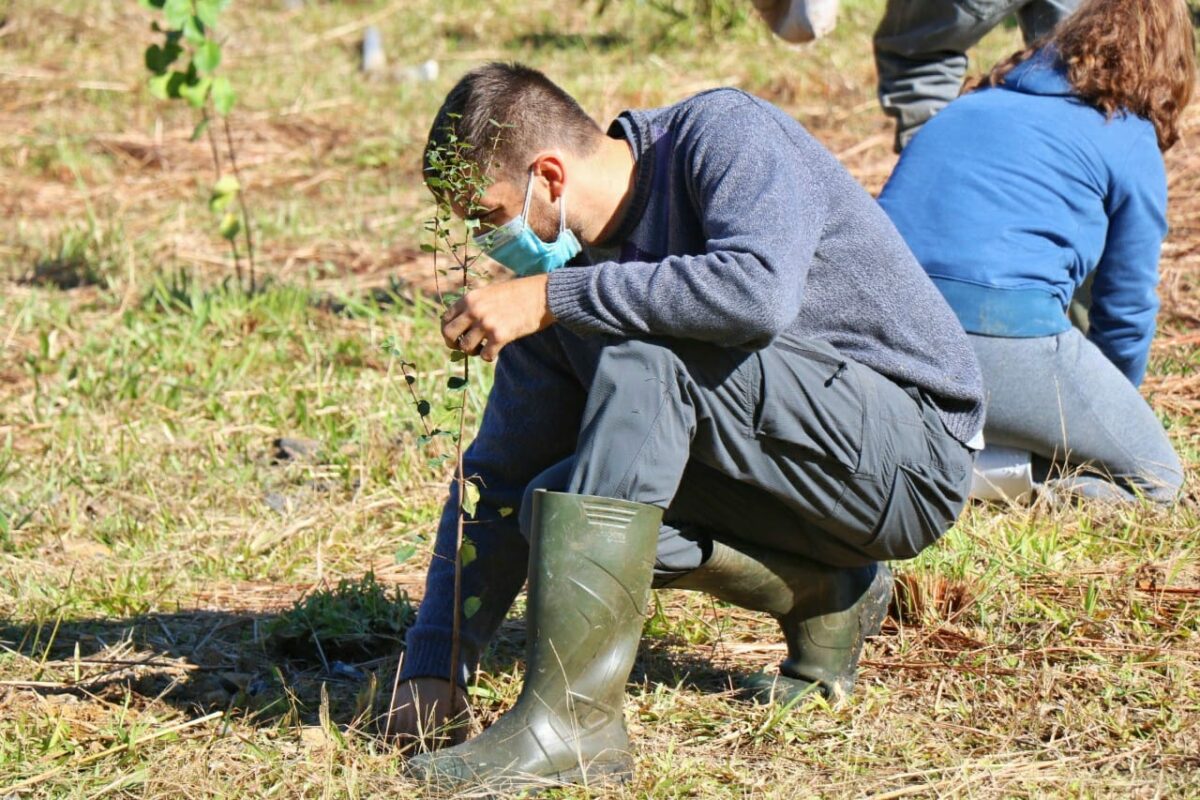 Fundave realiza plantio de mudas no Parque Natural Municipal Xokleng