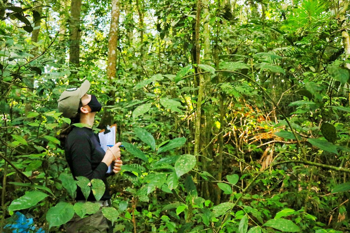Fundave realiza levantamento da fauna e flora do Parque Natural Municipal Xokleng