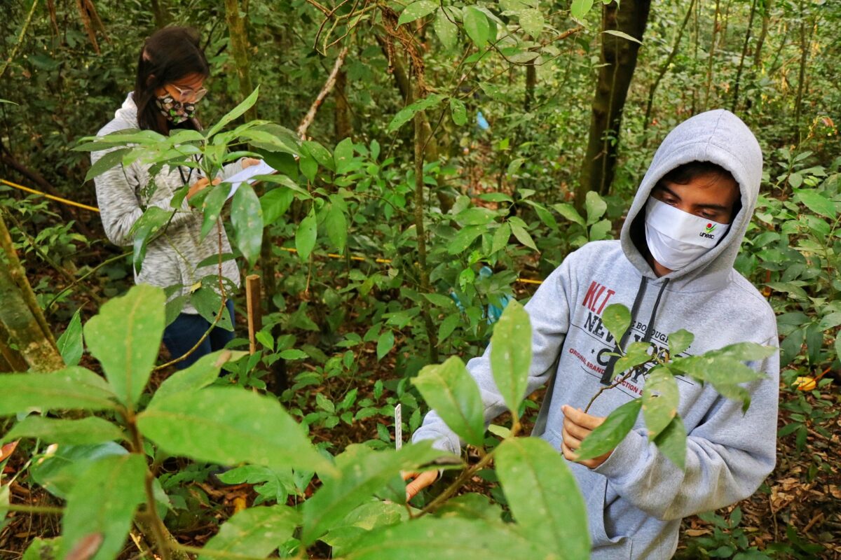 Fundave realiza levantamento da fauna e flora do Parque Natural Municipal Xokleng