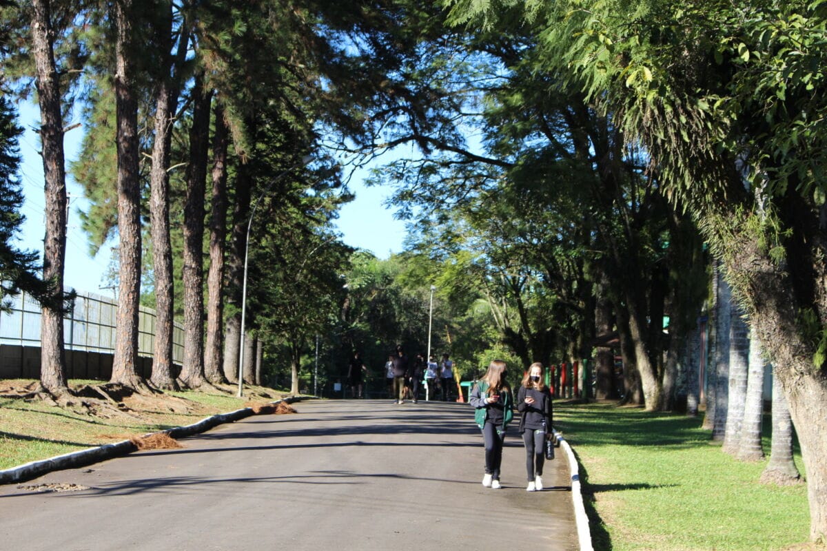 Satc completa 62 anos de histórias e transformações 1 Satc completa 62 anos de histórias e transformações