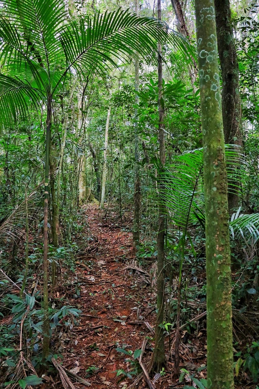 Semana Municipal do Meio Ambiente inicia na próxima quinta-feira, 27