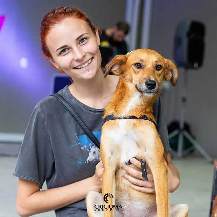 Sábado é dia de feira de adoção de animais no Criciúma Shopping