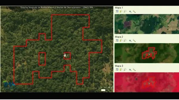 IMA lança sistema para monitorar desmatamento ilegal em Santa Catarina