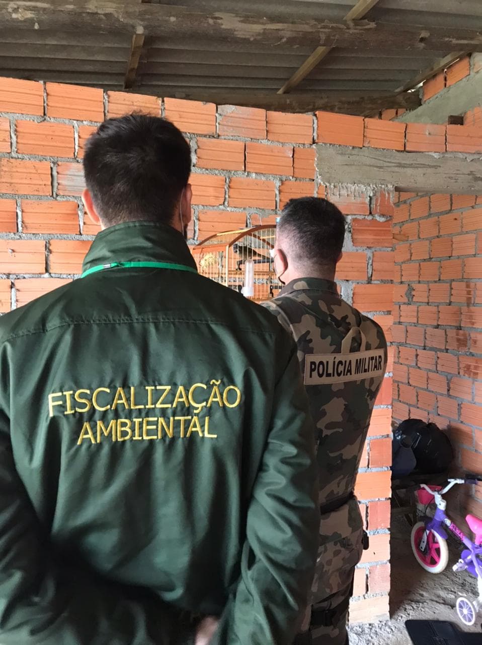 Operação da Fundave e Polícia Ambiental apreende aves silvestres mantidas em cativeiro