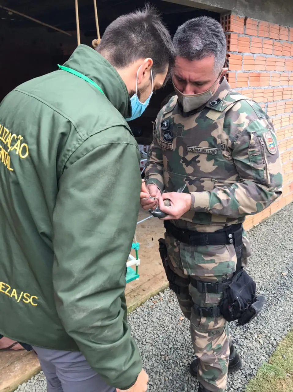 Operação da Fundave e Polícia Ambiental apreende aves silvestres mantidas em cativeiro