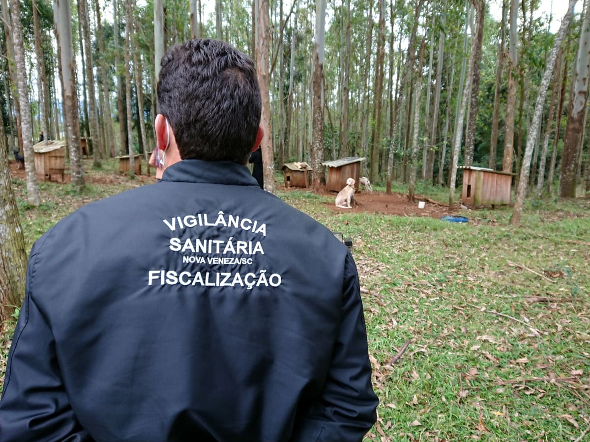 Denúncia de maus-tratos contra animais é investigada em Nova Veneza