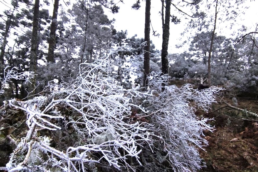 Super onda de frio em SC pode superar ano de 1955 1 Super onda de frio em SC