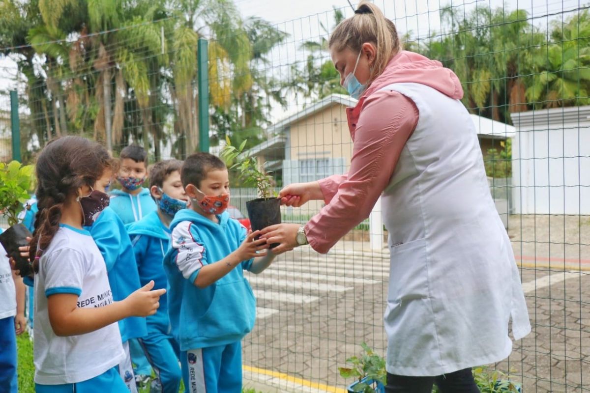 Fundave distribui 170 mudas de árvores nativas no C.E. Pingo de Gente