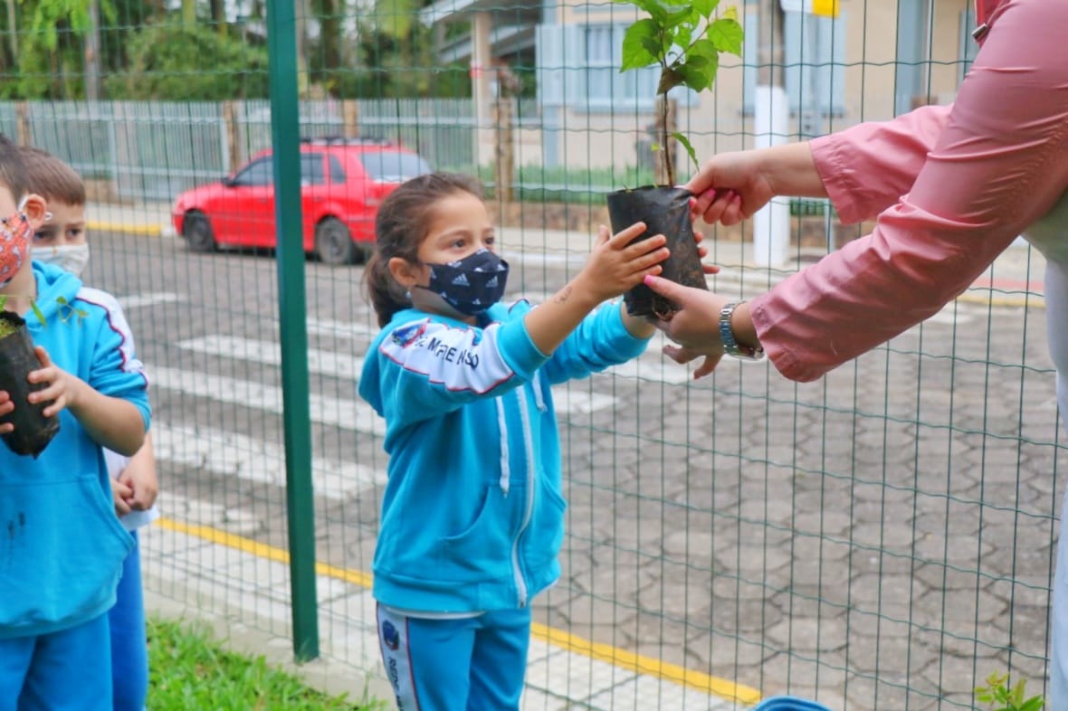 Fundave distribui 170 mudas de árvores nativas no C.E. Pingo de Gente