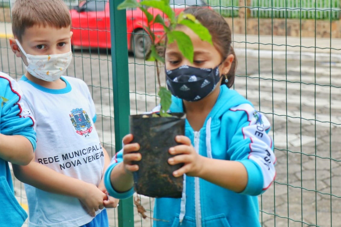 Fundave distribui 170 mudas de árvores nativas no C.E. Pingo de Gente