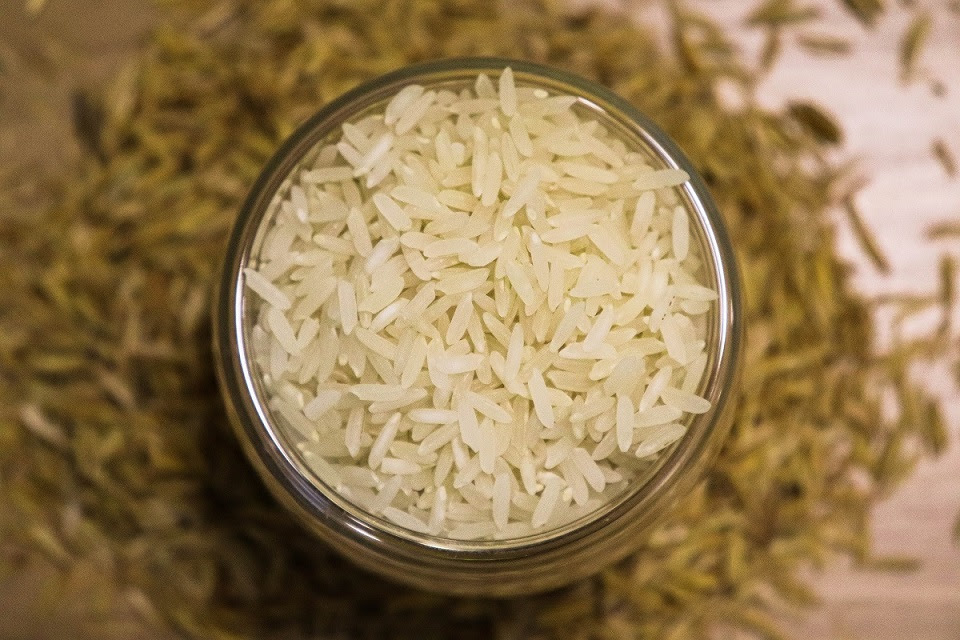Da plantação à mesa: como funciona a cadeia de suprimentos do arroz?