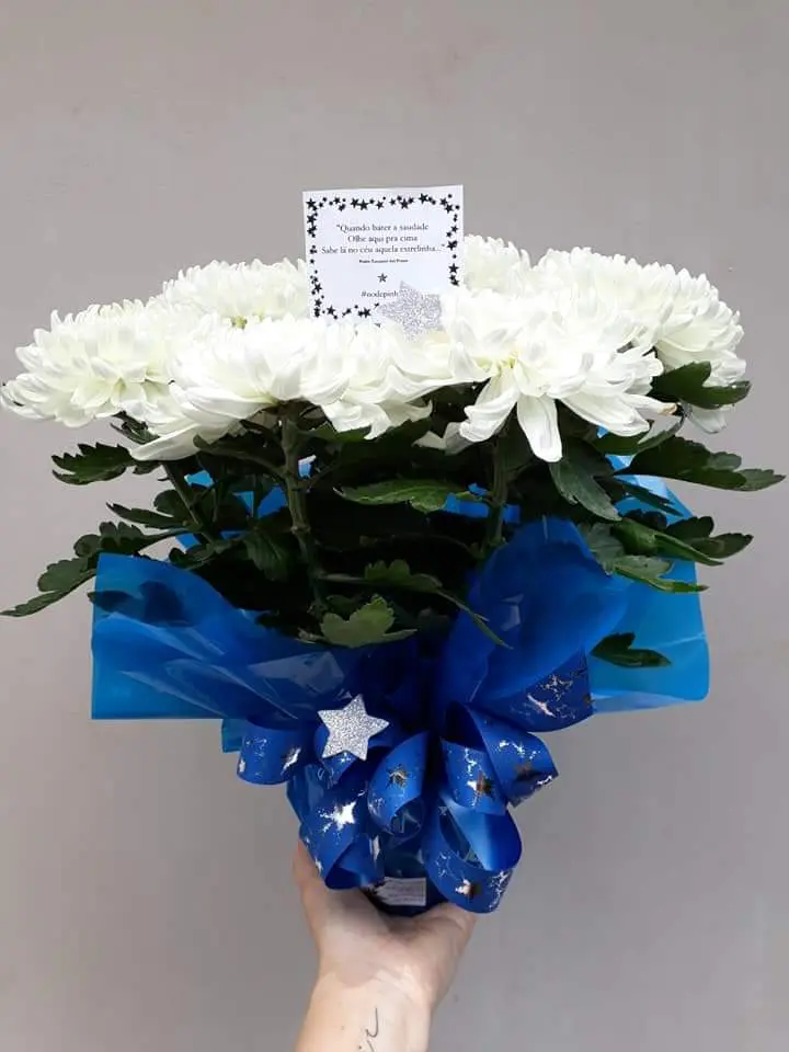 Floricultura Feito com Carinho - Houve desistência no dia 11. Quem tiver interesse mandar mensagem no wats.(18)99645-7227 *somente para o curso. Valor:R$140,00 com certificado Inicio: 19:00hs. Dracena.@analuiza.sanches