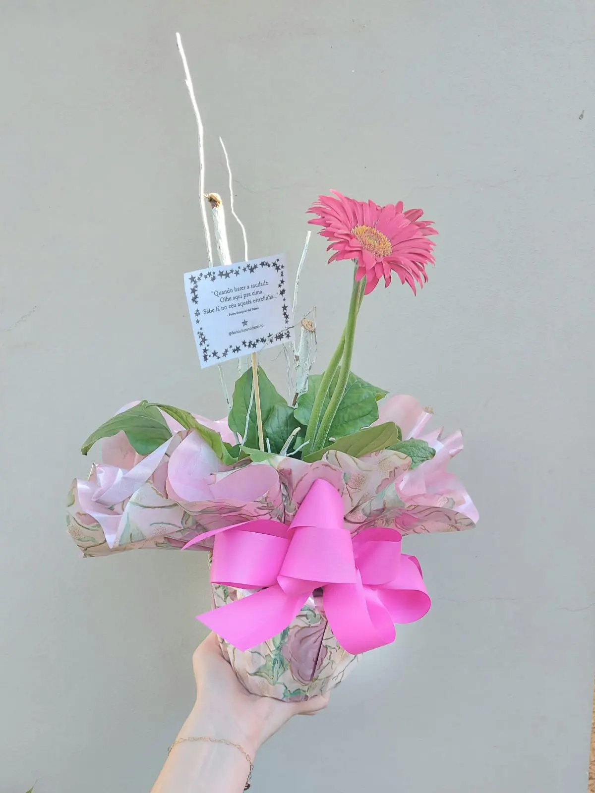 Floricultura Feito com Carinho - Houve desistência no dia 11. Quem tiver interesse mandar mensagem no wats.(18)99645-7227 *somente para o curso. Valor:R$140,00 com certificado Inicio: 19:00hs. Dracena.@analuiza.sanches