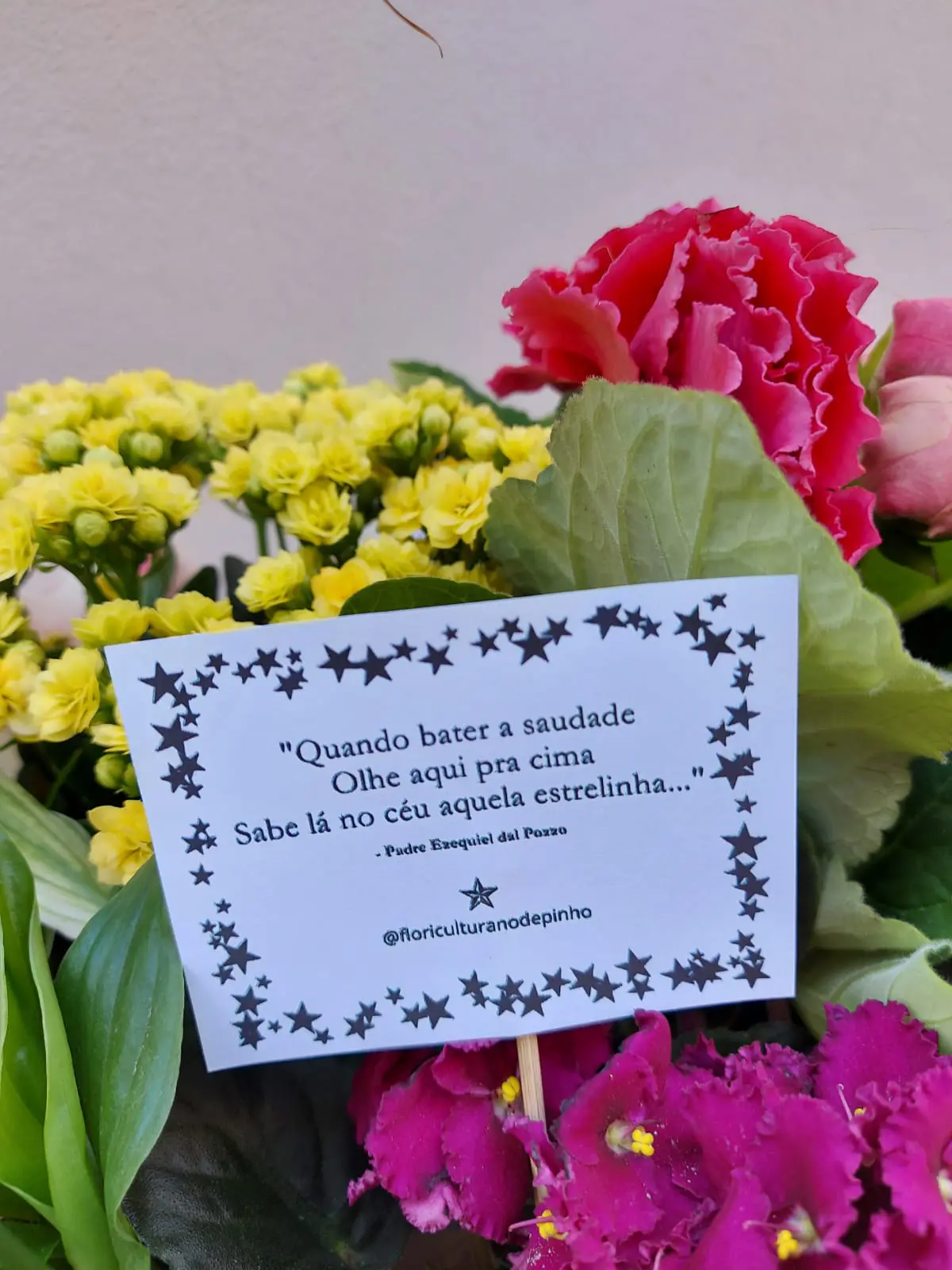 Floricultura Feito com Carinho - Houve desistência no dia 11. Quem tiver  interesse mandar mensagem no wats.(18)99645-7227 *somente para o curso.  Valor:R$140,00 com certificado Inicio: 19:00hs. Dracena.@analuiza.sanches