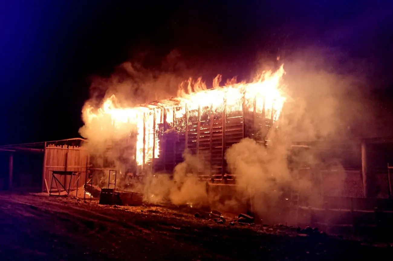 Incêndio Madeireira Bortolotto