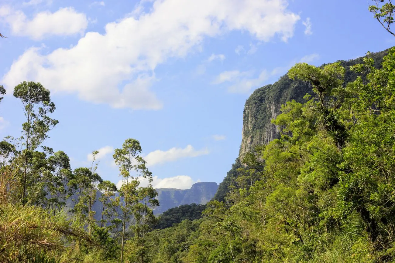 Peregrinos desbravam o sul do país usando a caminhada como fonte de meditação e autoconhecimento