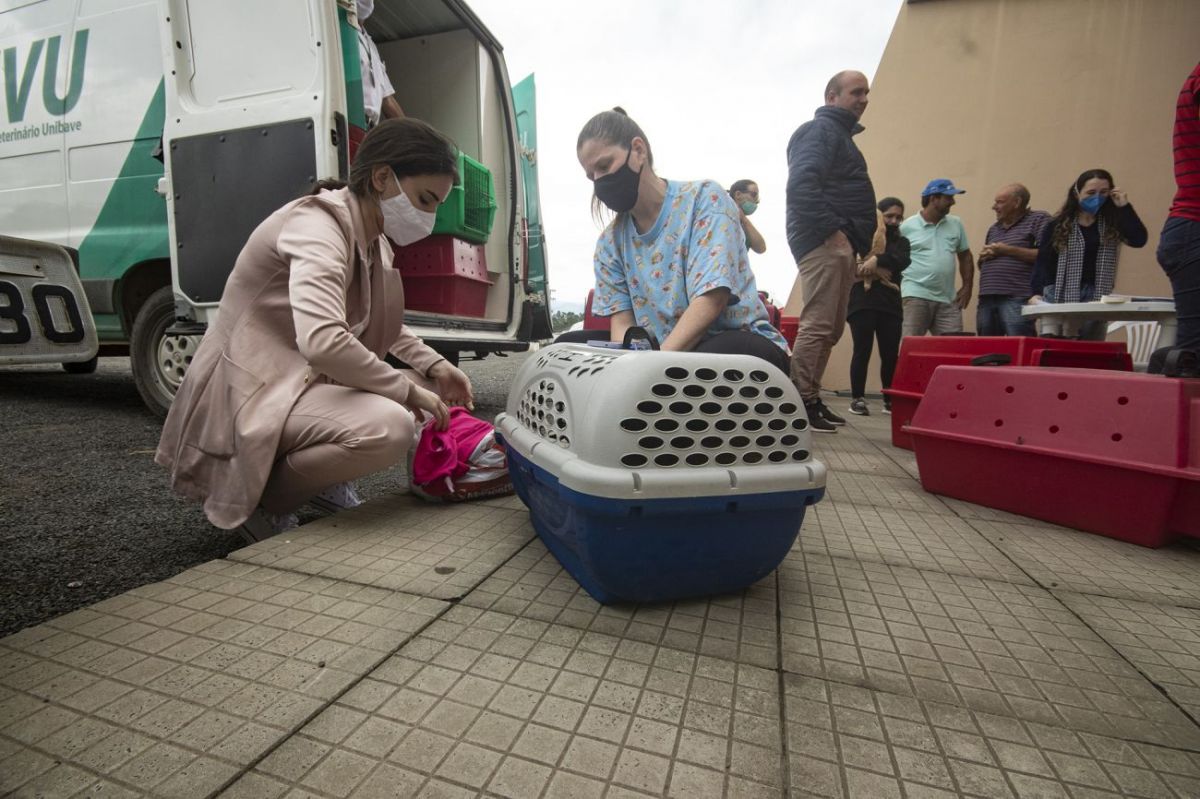 Fundave e Felinos do Aguaí realizam última etapa da campanha de castração