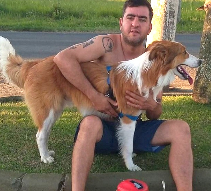 Em São Bento Baixo moradores sofrem com envenenamento de cães 1 Envenenamento de cães no distrito de São Bento Baixo