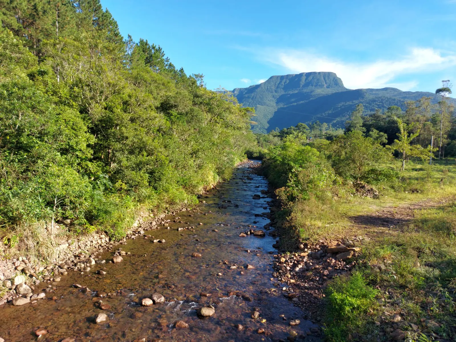 Projeto Restaura Veneza visa preservar recursos florestais e hídricos