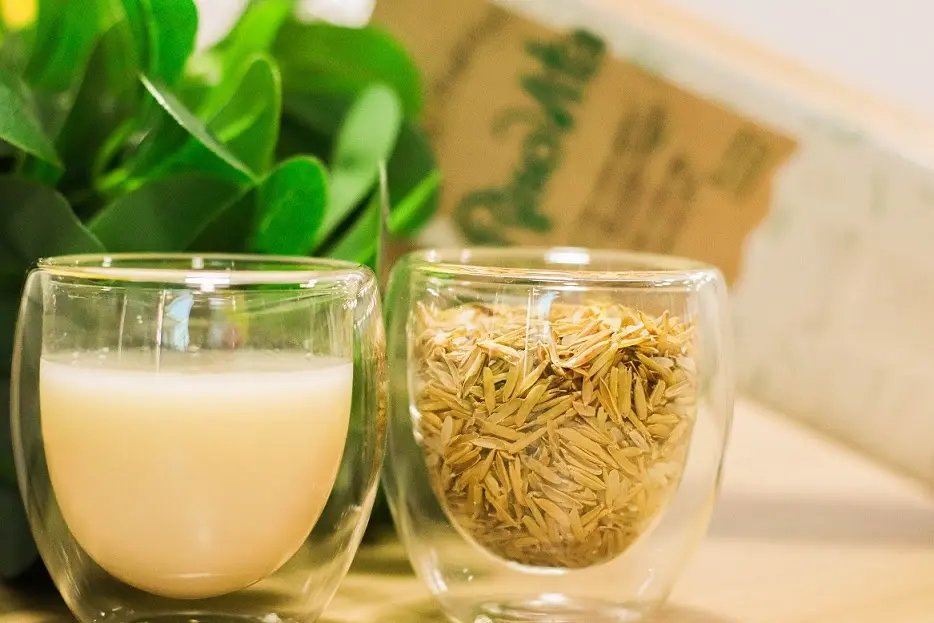 Bebidas vegetais à base de arroz são fortes aliadas de veganos e vegetarianos