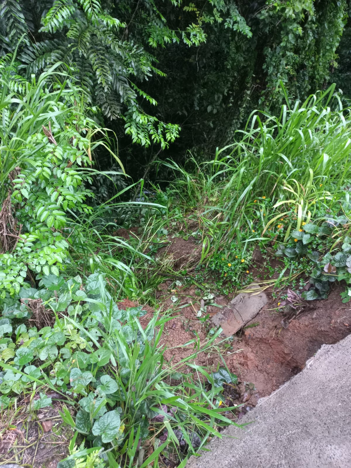 Veículo cai em ribanceira na comunidade do Cristo Crucificado 3 Veículo cai em ribanceira na comunidade do Cristo Crucificado