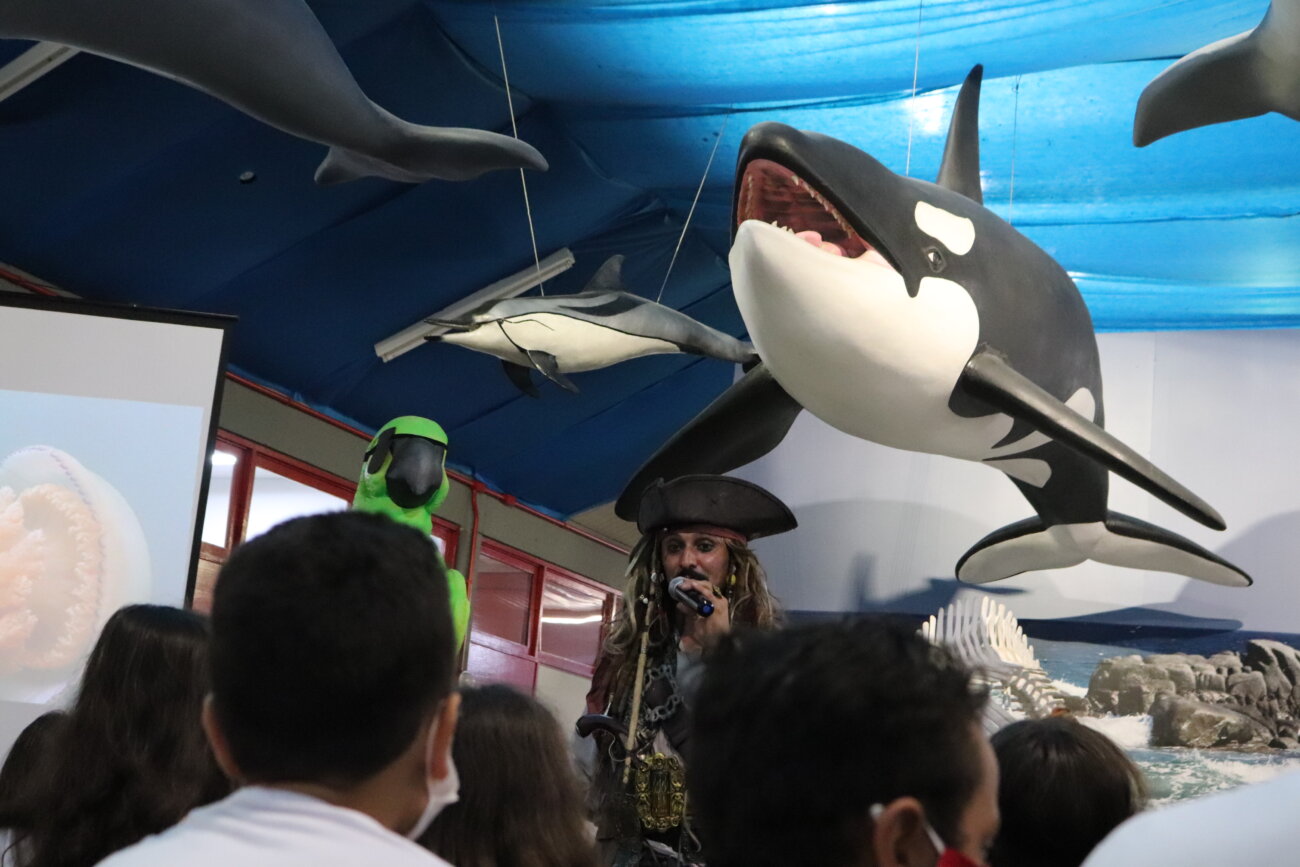 Museu de Zoologia da Unesc: referência em pesquisa, turismo e educação 4 Museu de Zoologia da Unesc: referência em pesquisa, turismo e educação