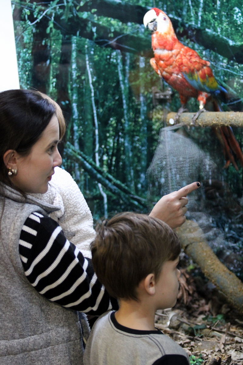 Museu de Zoologia da Unesc: referência em pesquisa, turismo e educação 5 Museu de Zoologia da Unesc: referência em pesquisa, turismo e educação