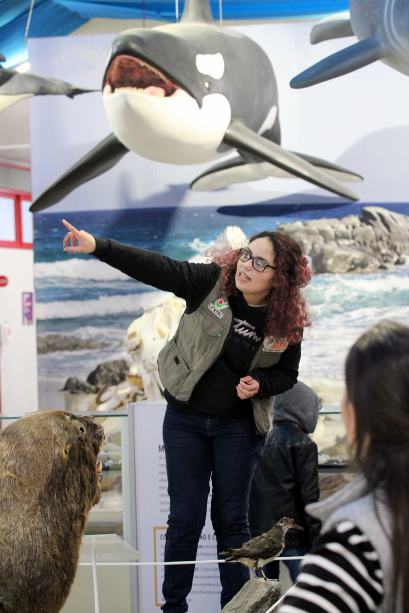 Museu de Zoologia da Unesc: referência em pesquisa, turismo e educação 8 Museu de Zoologia da Unesc: referência em pesquisa, turismo e educação