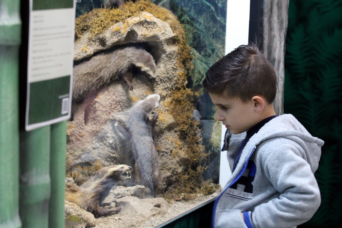 Museu de Zoologia da Unesc: referência em pesquisa, turismo e educação 6 Museu de Zoologia da Unesc: referência em pesquisa, turismo e educação