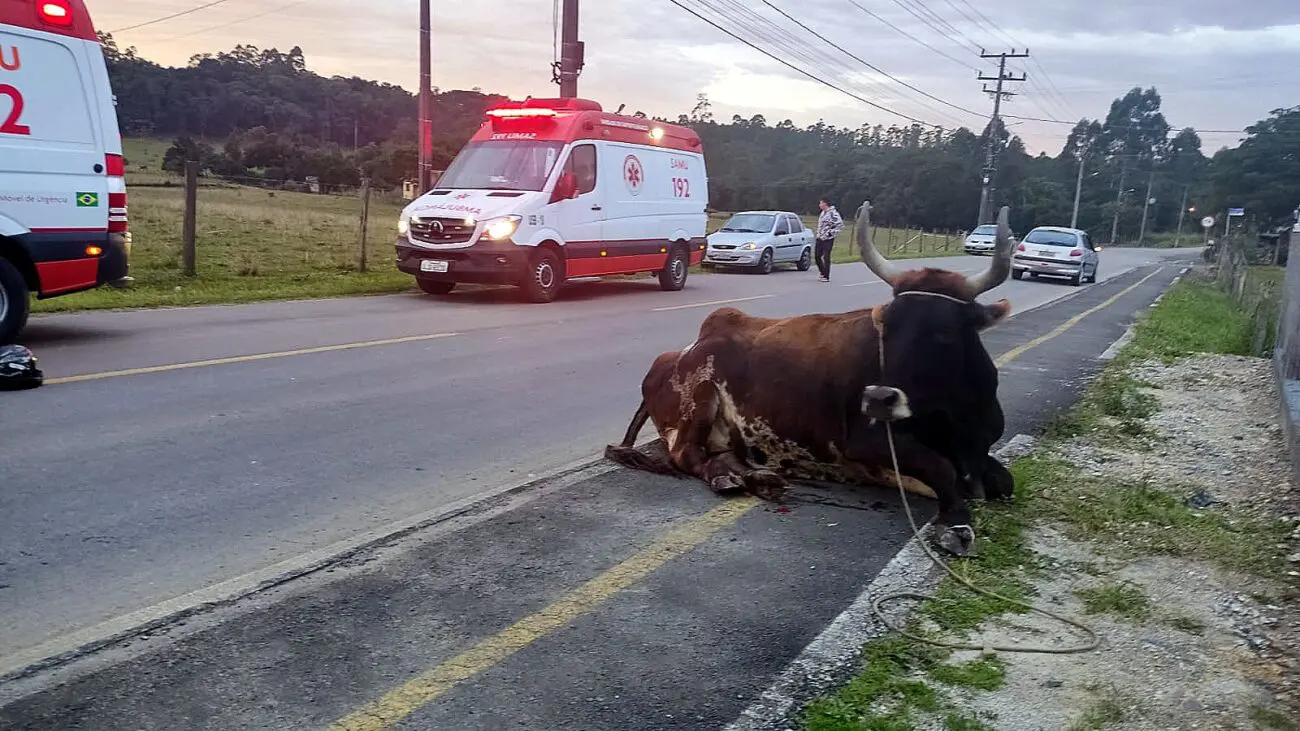 Motociclista perde a vida em acidente de trânsito no Caravaggio 