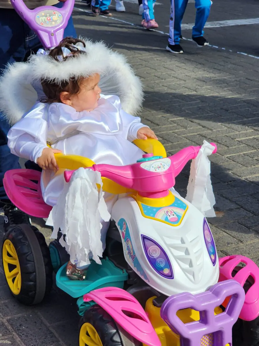 7 de Setembro: confira fotos do desfile em Nova Veneza