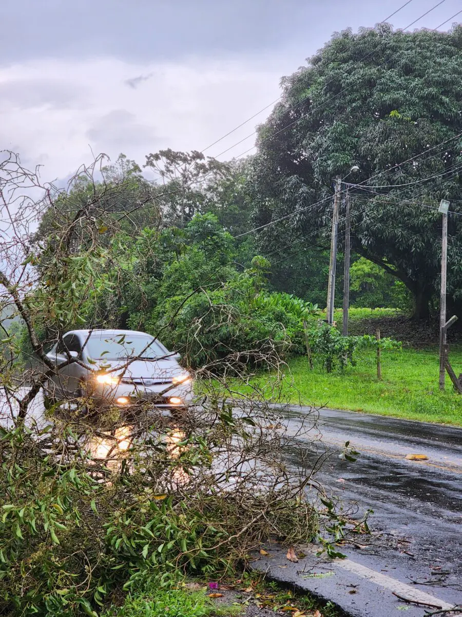 Temporal na região causa prejuízos e transtornos em Nova Veneza