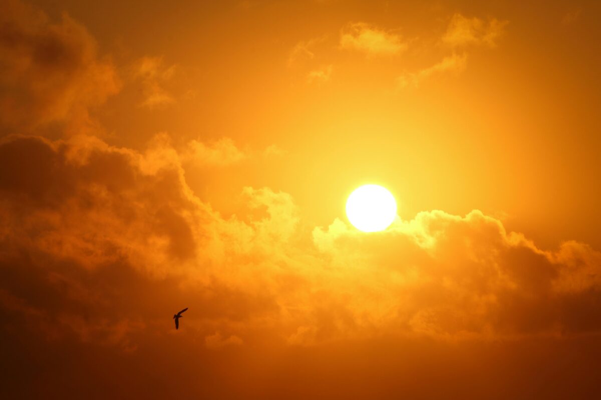 Feriado do dia do trabalho: sol e temperatura em elevação em SC 1 Feriado do dia do trabalho: sol e temperatura em elevação em SC