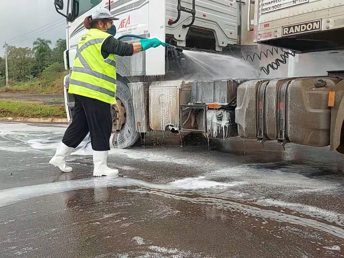 Santa Catarina descarta mais duas suspeitas de Influenza Aviária de Alta Patogenicidade 2 Santa Catarina descarta mais duas suspeitas de Influenza Aviária de Alta Patogenicidade