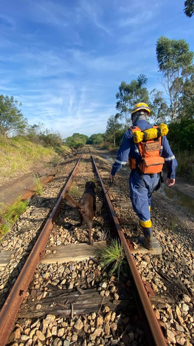 Corpo de Bombeiros suspende buscas por idoso desaparecido em Forquilhinha após 10 dias de operação intensiva 1 Corpo de Bombeiros suspende buscas por idoso desaparecido em Forquilhinha após 10 dias de operação intensiva