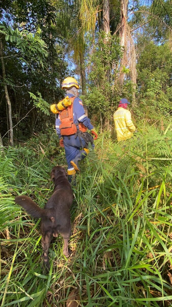 Corpo de Bombeiros suspende buscas por idoso desaparecido em Forquilhinha após 10 dias de operação intensiva 3 Corpo de Bombeiros suspende buscas por idoso desaparecido em Forquilhinha após 10 dias de operação intensiva
